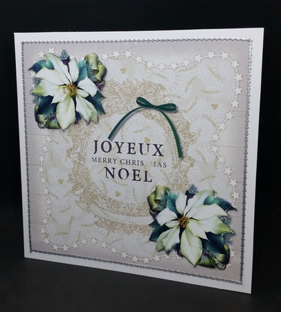 Joyeux Noel Merry Christmas  by Diane  Vermeer