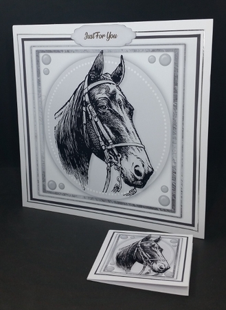 Beautiful lack Horse Sketch by Diane  Vermeer