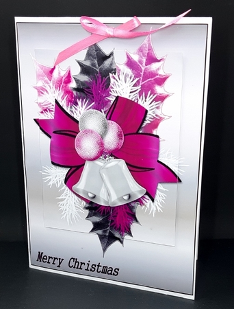 Christmas in Pink by Diane  Vermeer