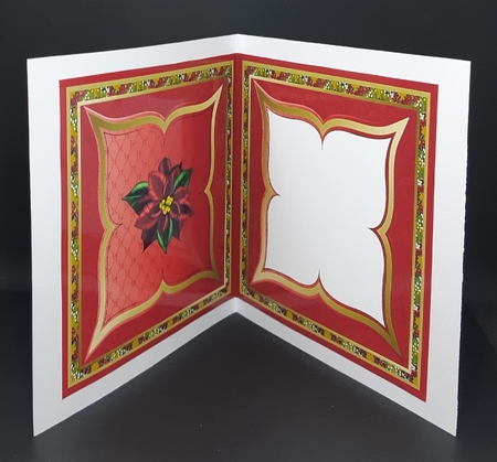 Red Poinsettia Insert by Diane  Vermeer