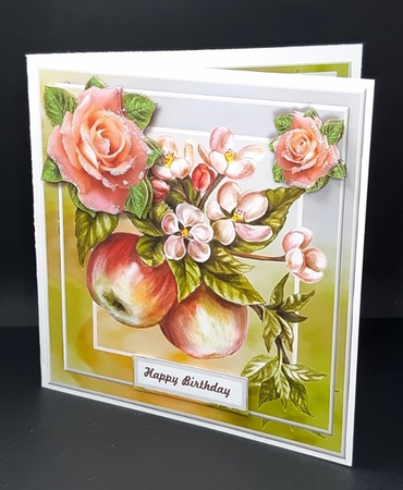 All In One Apple Blossom & Roses by Diane  Vermeer