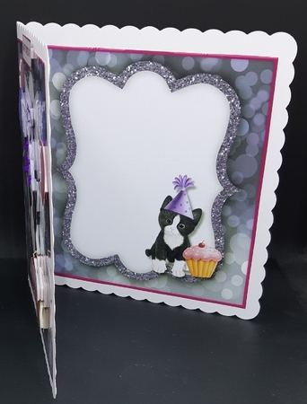 Cute Birthday Kitten  Have Fun Quick Card INSERT by Diane  Vermeer