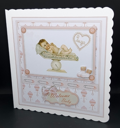 Welcome Baby Girl by Diane  Vermeer