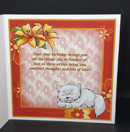 You caught me napping birthday insert by Diane  Vermeer