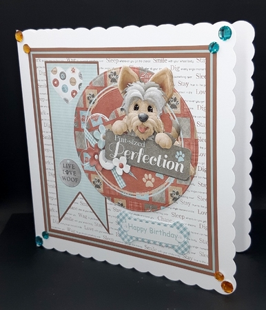 Perfect puppy by Diane  Vermeer