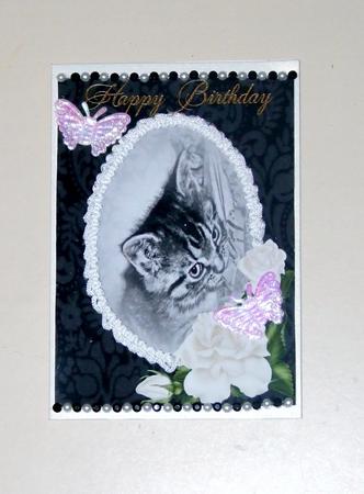 A4 Sweet Little Kitten by Diane  Vermeer