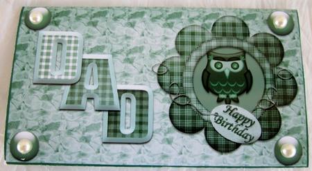Happy Birthday Dad Owl Money Wallet Green by Diane  Vermeer