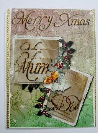 Golden Xmas by Diane  Vermeer