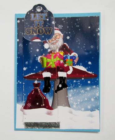 Santa Sat on a Large Mushroom Bookmark Card by Diane  Vermeer