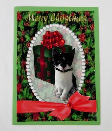 This One's Mine! by Diane  Vermeer