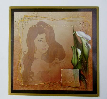 Dreamer by Diane  Vermeer
