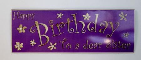 Large Dl Birthday Sister Quick Cut and Fold Card by Diane  Vermeer