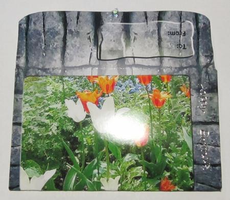 A Beautiful Tulips Garden-money and Gift Wallet by Diane  Vermeer
