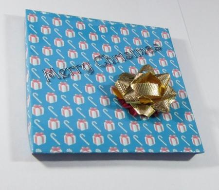 Merry Christmas 2 by Diane  Vermeer