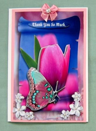 Tulp Kiss by Diane  Vermeer