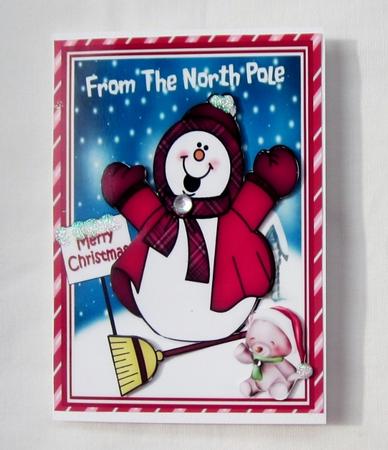 From the North Pole by Diane  Vermeer