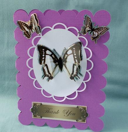 Rectangle Scallop Card Template - Silhouette by Diane  Vermeer