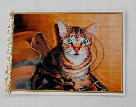 Cute Cat Oval Pyramid by Diane  Vermeer