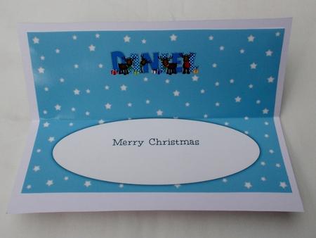 Rudolf and Friends Daniel Large Dl Insert by Diane  Vermeer