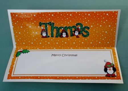Xmas Thomas Penguins Matching Large Dl Insert by Diane  Vermeer