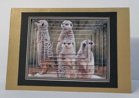Meerkats Scene Pyramid by Diane  Vermeer
