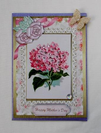 Lovely Pink Hydranger on Fine Lace . by Diane  Vermeer