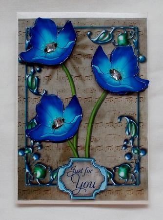 Blue Poppy by Diane  Vermeer