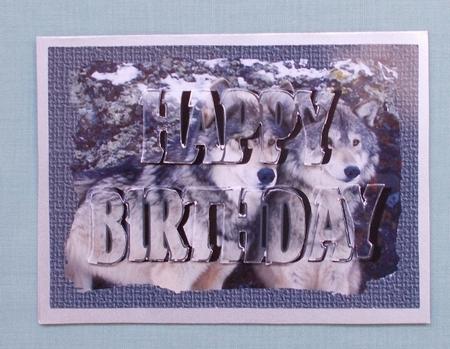Wolves- See Through Letter Cards by Diane  Vermeer