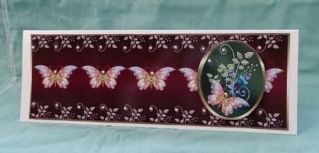 Butterfly Oval by Diane  Vermeer