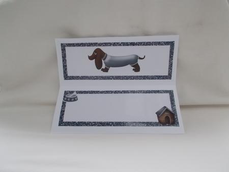 Cute Sausage Dog in White Dl Insert by Diane  Vermeer
