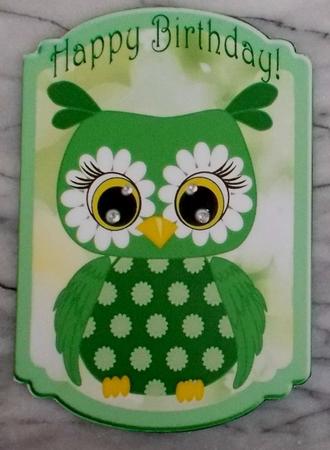 Cute Little Green Owl with Flowers Quick Card by Diane  Vermeer