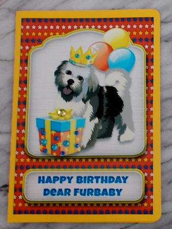 Happy Birthday from the Furball by Diane  Vermeer