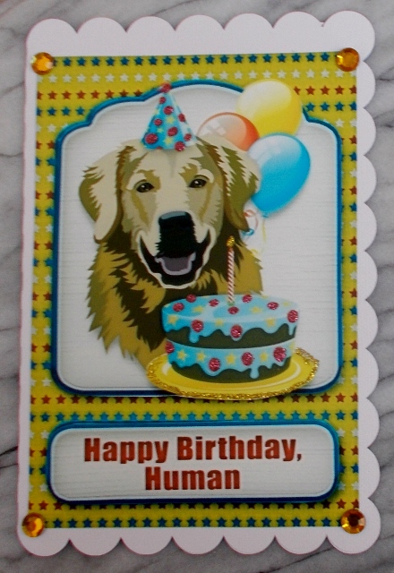 Happy Birthday from the Golden Retriever by Diane  Vermeer