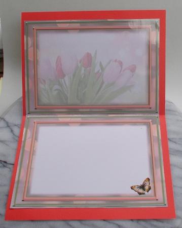 Pink & Red Tulips Insert by Diane  Vermeer