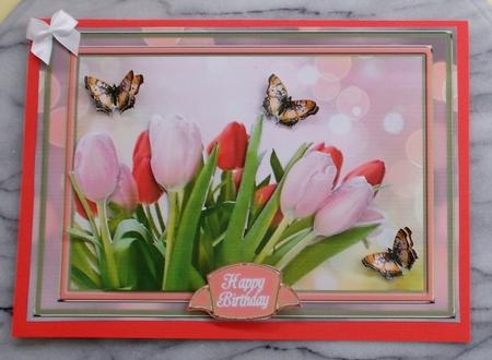 Pink & Red Tulips by Diane  Vermeer