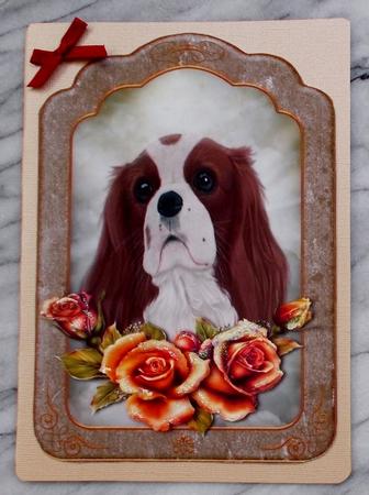 Pet Sympathy A5 Topper and Insert with Verse by Diane  Vermeer