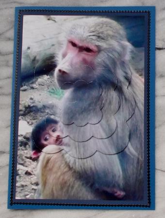 Baboon Monkey with Its Young Scalloped Pyramid by Diane  Vermeer
