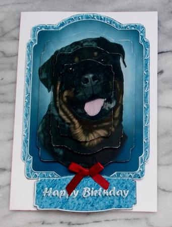 My Best Friend (blue) Topper by Diane  Vermeer