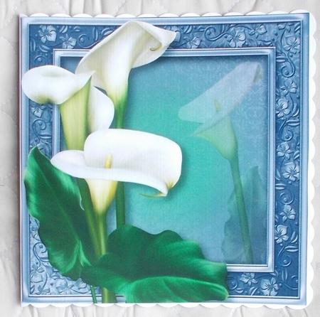 Pure Calla Lilies 8x8 Quick Topper by Diane  Vermeer