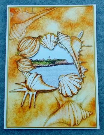 Seashell on Seashore by Diane  Vermeer