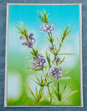 Herbal Garden-rosemary by Diane  Vermeer