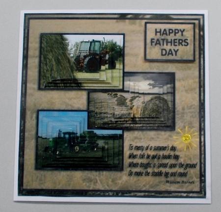 Haymaking by Diane  Vermeer