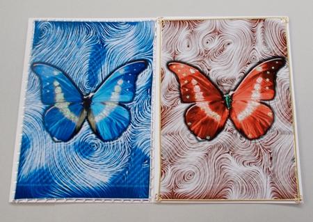 Butterfys by Diane  Vermeer