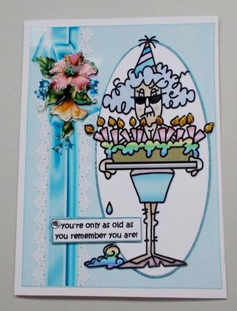 Stella Doesn't Remember Her Age Quick Card by Diane  Vermeer
