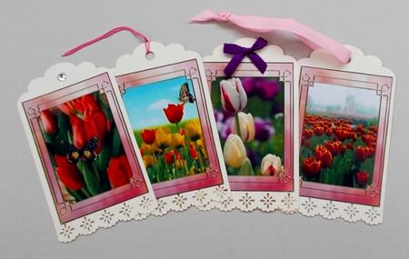 Flower Series: Tulips by Diane  Vermeer