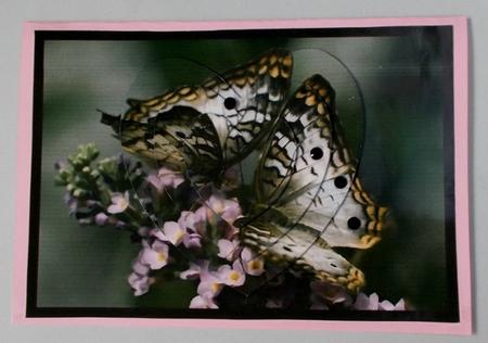 Butterfly Couple Heart Shaped Pyramid by Diane  Vermeer