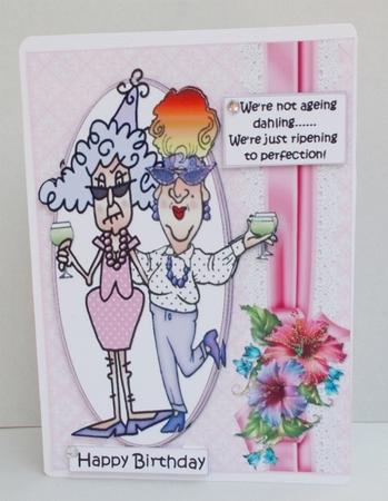 Stella and Edna Not Ageing Quick Card by Diane  Vermeer