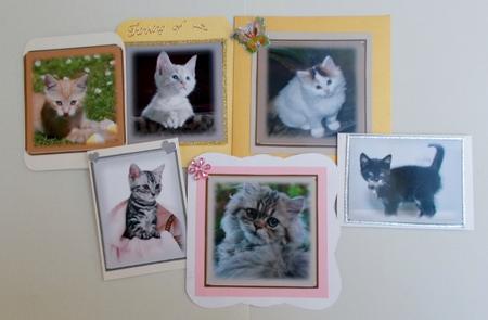 Cute Kitten Toppers by Diane  Vermeer