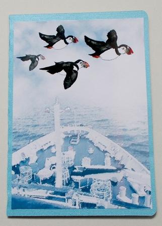 Puffins Flying Over Deck by Diane  Vermeer