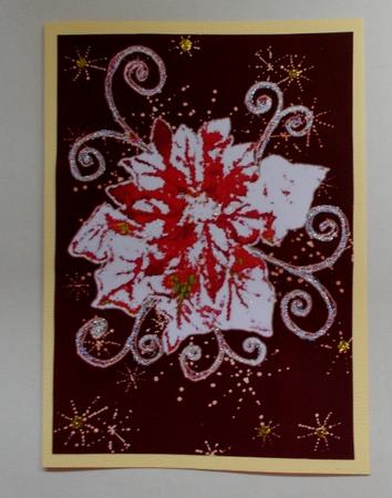 Christmas Poinsettia by Diane  Vermeer